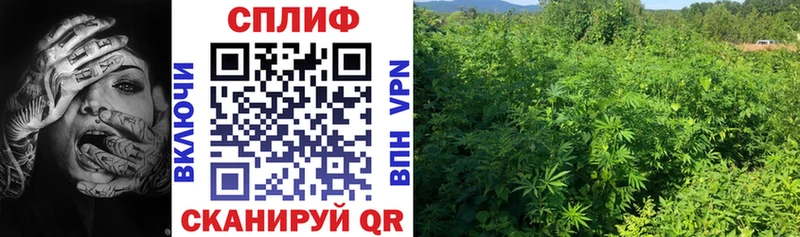 Где купить наркоту Олонец Метамфетамин Амфетамин ГАШ Кокаин Alpha-PVP Бошки Шишки