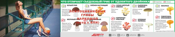 скорость Алексин